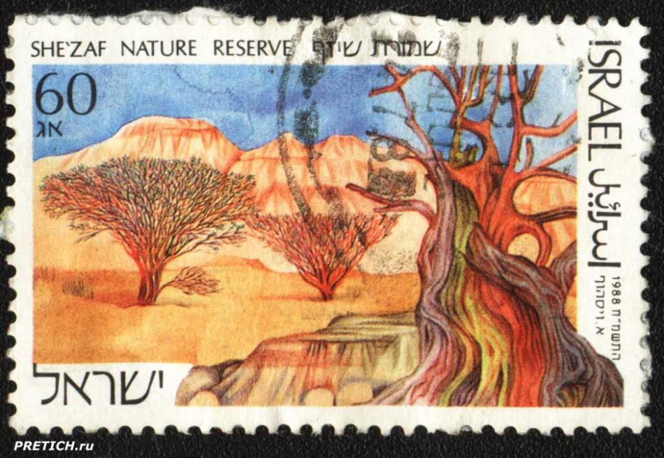 Israel She'zaf Nature Reserve