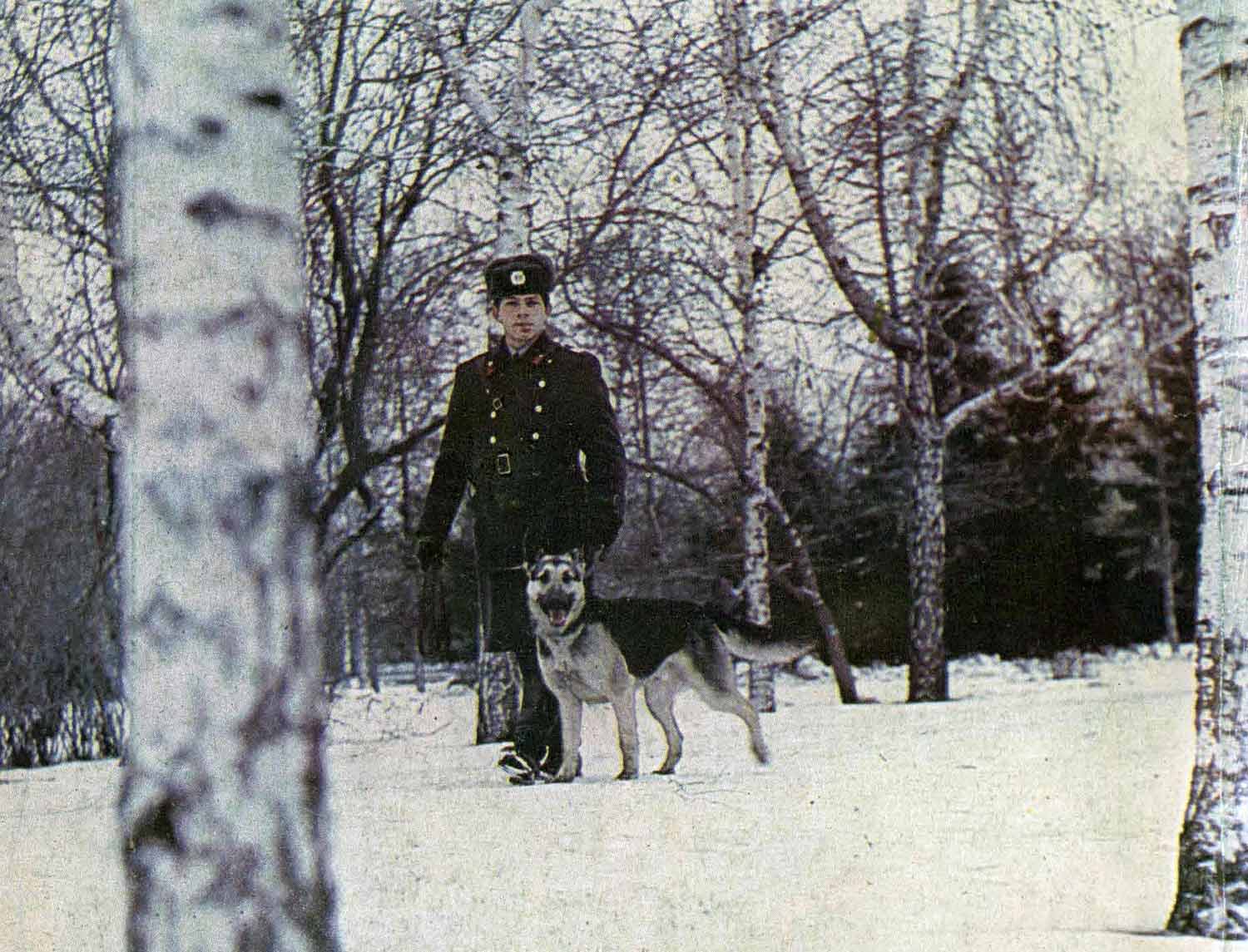pretich.ru/25/1983-ussr-pilucia-mart-28-05-2025-006.jpg