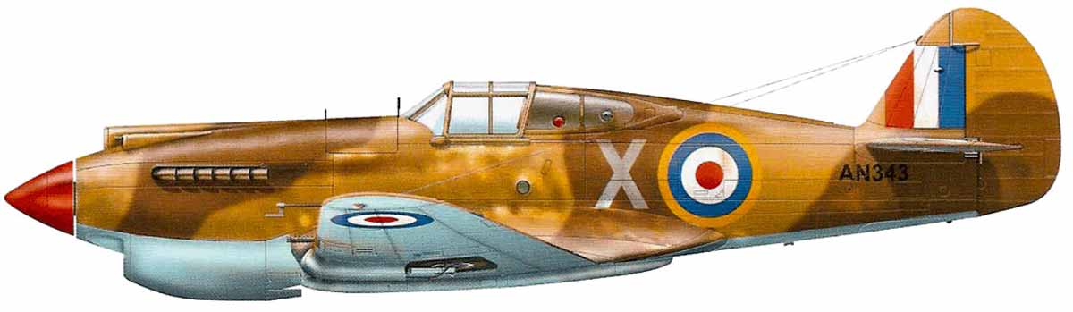 Один из вариантов окраски P-40 Киттихавк для Франции