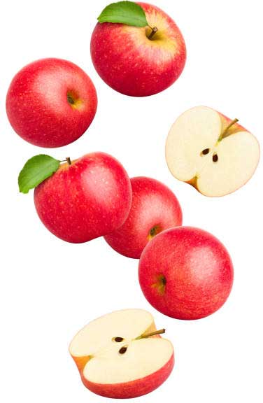 почему яблоки сами опадают - что делать? Это болезнь или старость?