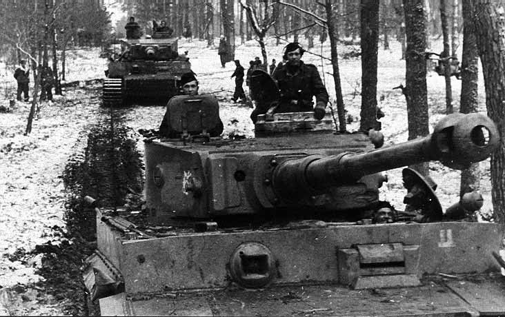 танки Тигры в русских лесах, после 1943 г