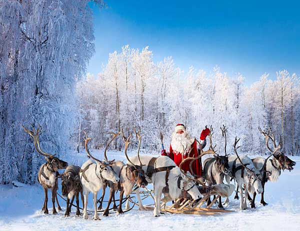 Что смотреть на Новый год по телевизору, подскажите самое интересное