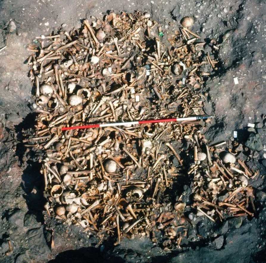 Останки викингов в братских могилах в Англии, археология