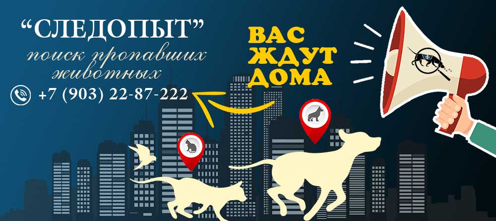 Следопыт - поиск пропавших животных в Москве и области