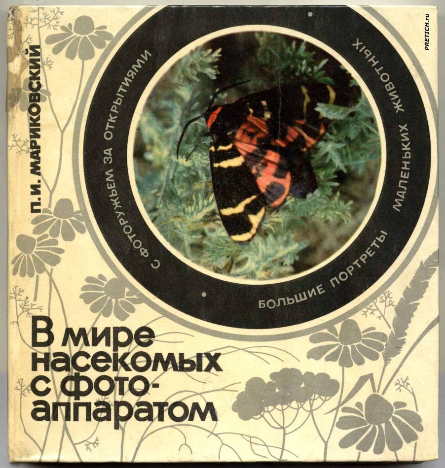 В мире насекомых... обложка книги