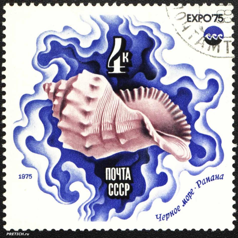 Рапана, Черное море. EXPO'75