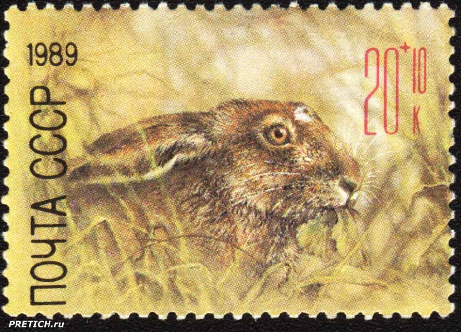 Почтовая марка: Заяц. 1989