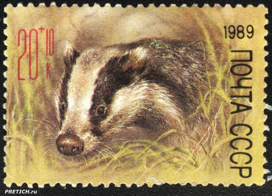 Почтовая марка: Барсук. 1989
