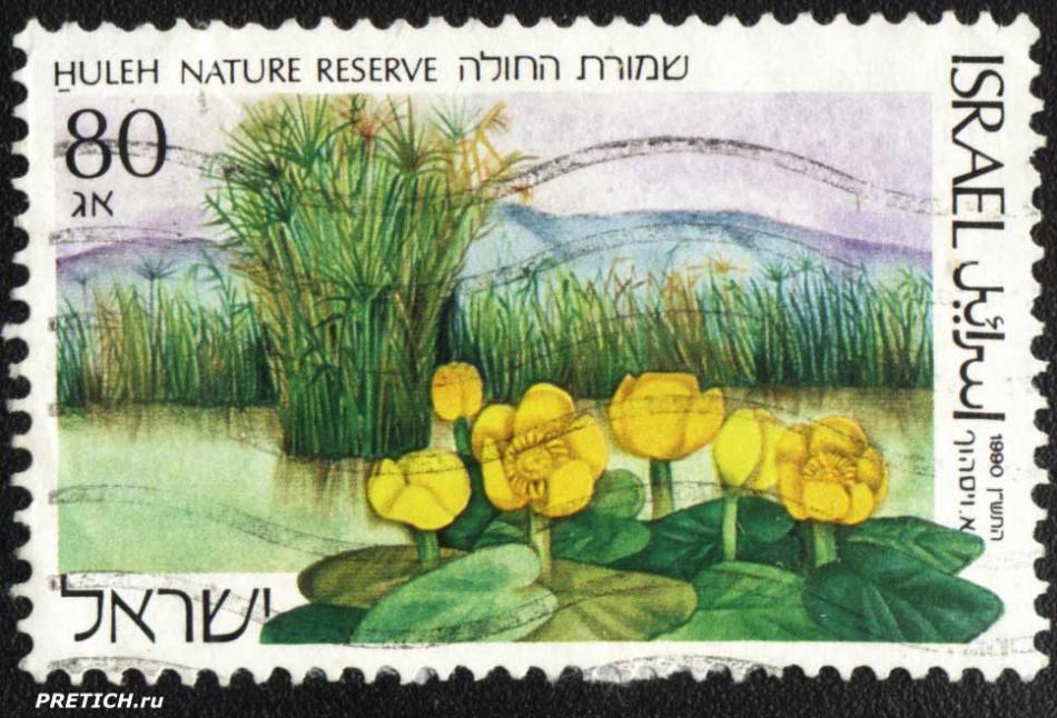 Israel Hulen Nature Reserve