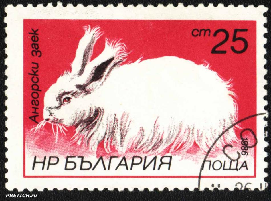 Ангорски заек. НР България поща. 1986