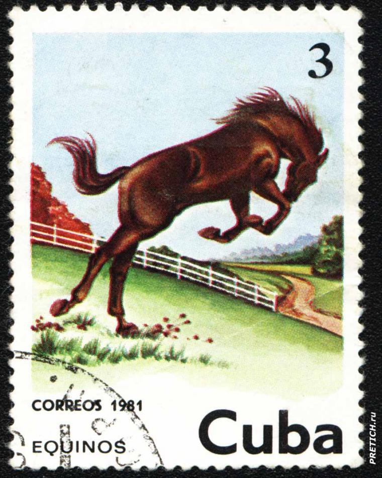 Equinos. 1981. Cuba Correos