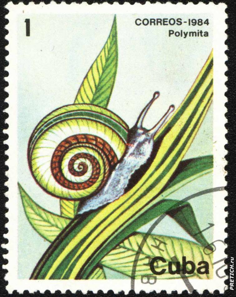 Polymita. 1984. Cuba Correos