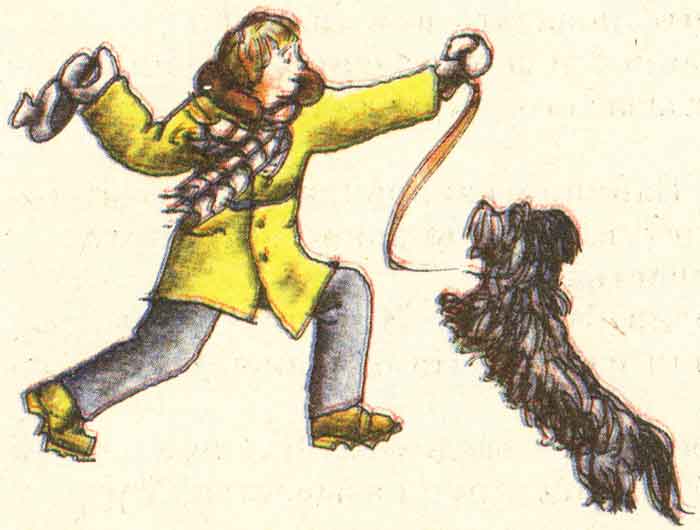 дрессировка собак - рисунок из книги