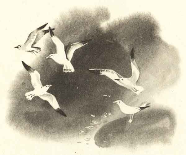 чайки над морем - рисунок для детской книги