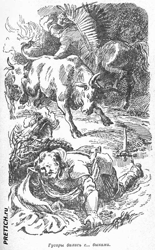 Польские гусары бились с... быками