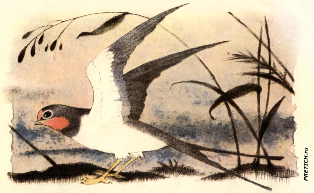 G. H. Andersen Thumbelina - illustrationer til eventyret