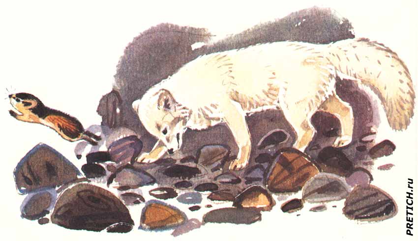 Белая лисица и мышки-пеструшки, детская книга