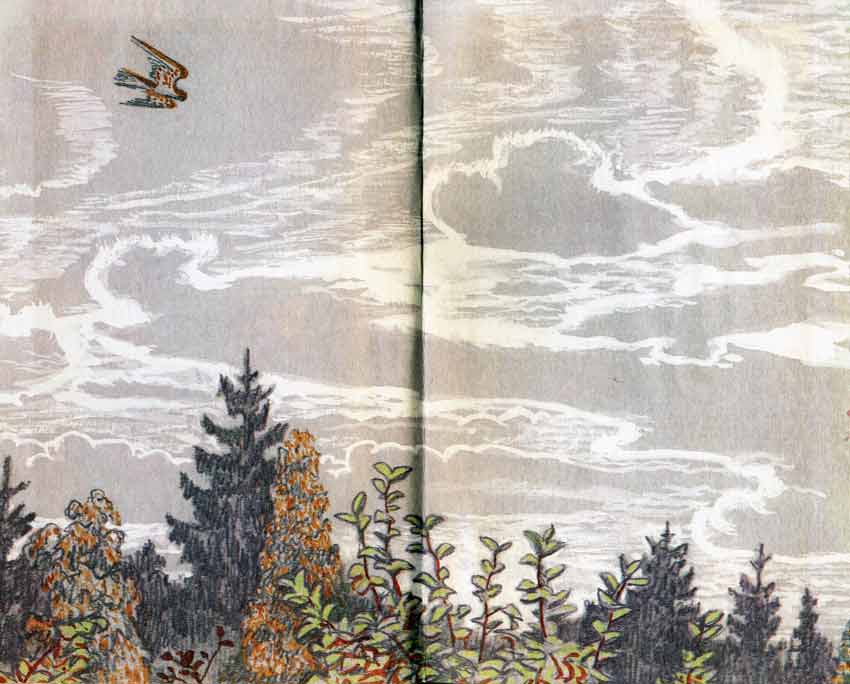 иллюстрации в советских книгах форзац