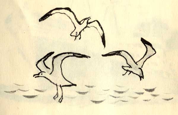 чайки, рисунок из книжки, иллюстрации советские