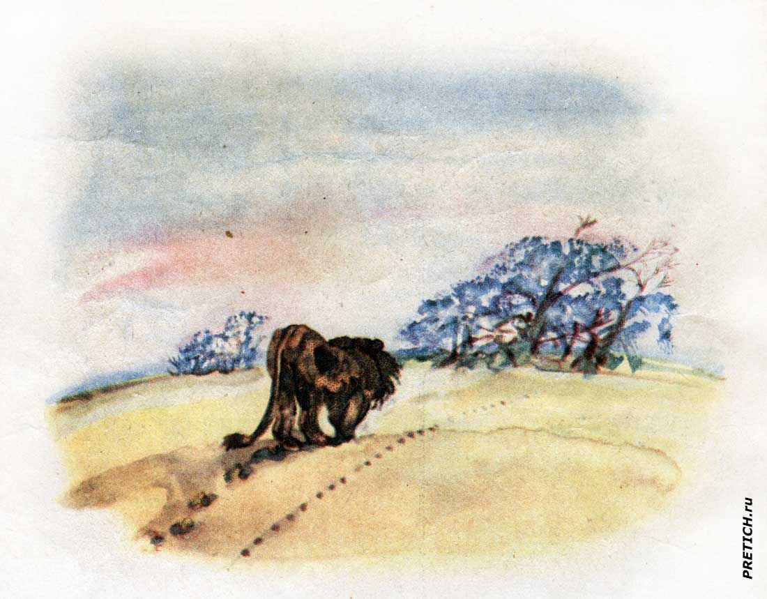 Индийская сказка про льва и шакалов, Детгиз, 1955 год