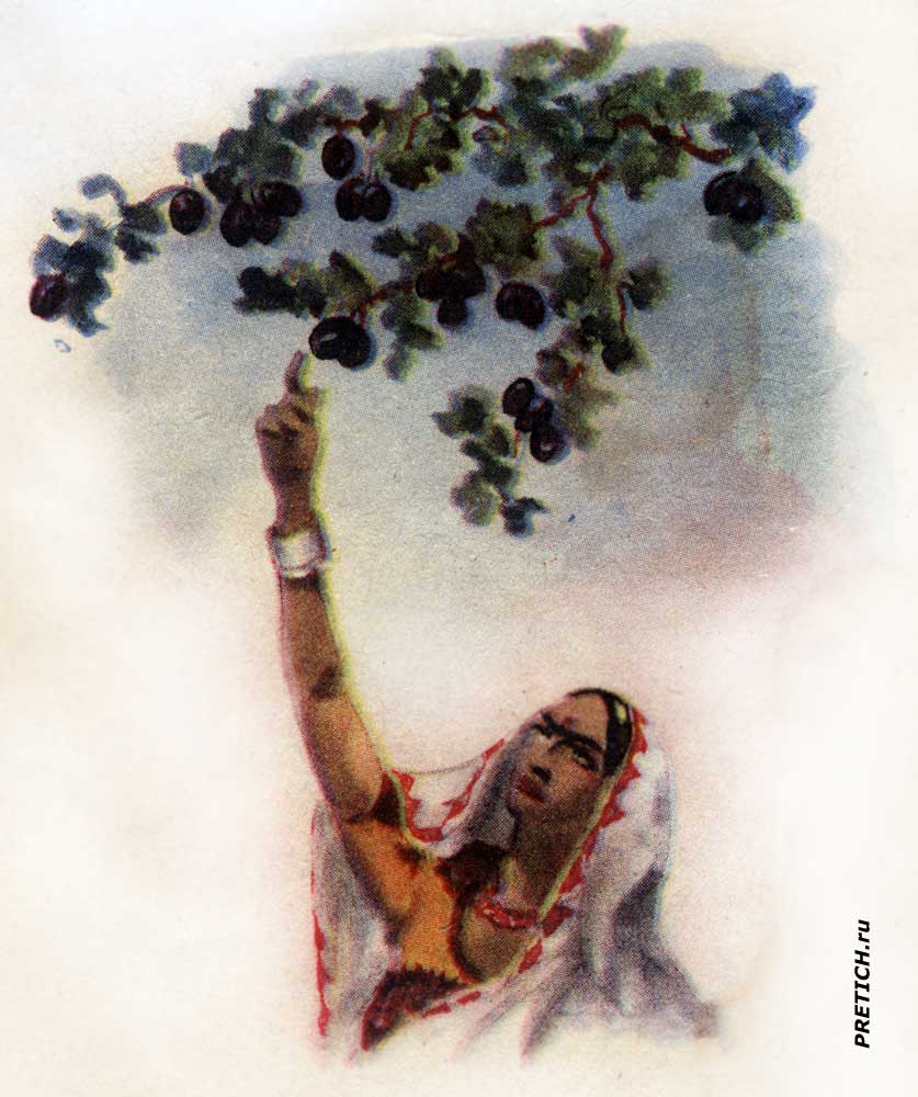 иллюстрация из детской книги индийских сказок, СССР