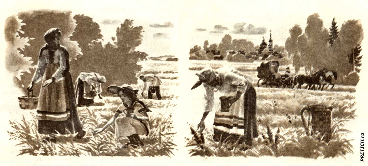 Полевая клубника Сергей Аксаков, иллюстрации из советских детских книг