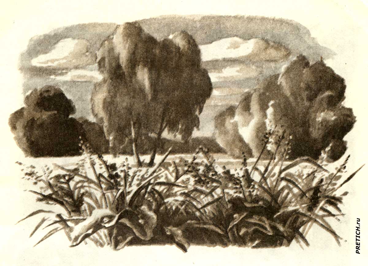 Какая бывает роса на траве Лев Толстой, иллюстрация