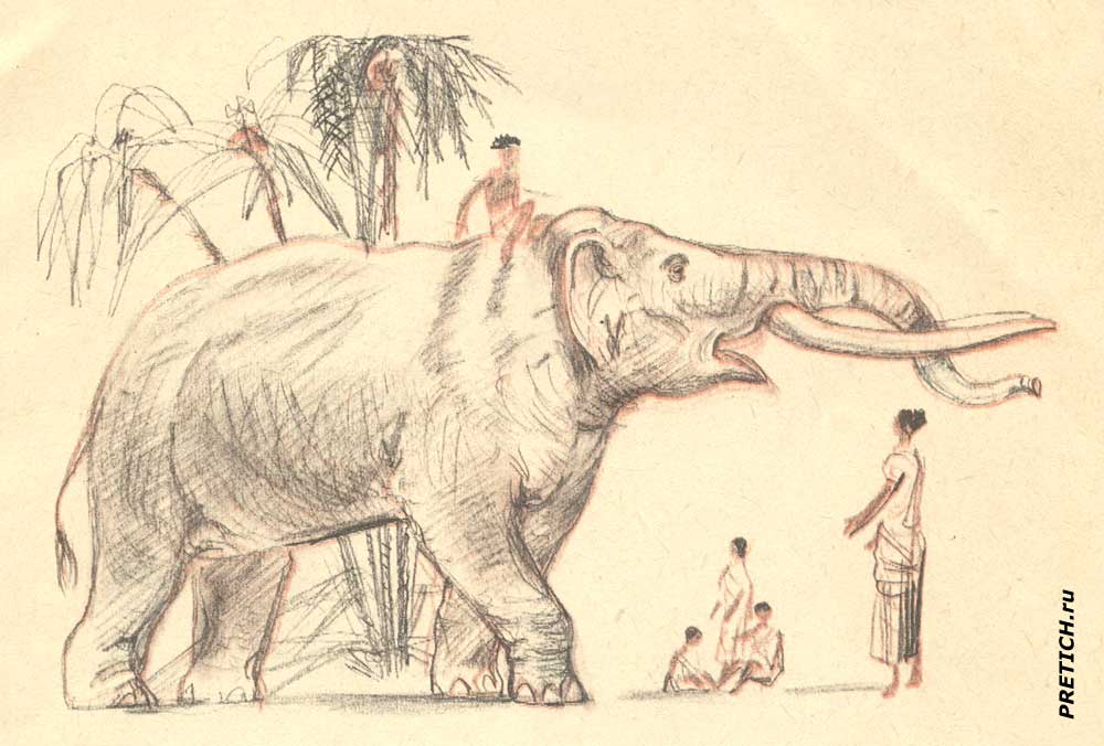 Лев Толстой рассказ Слон - рисунок из книжки